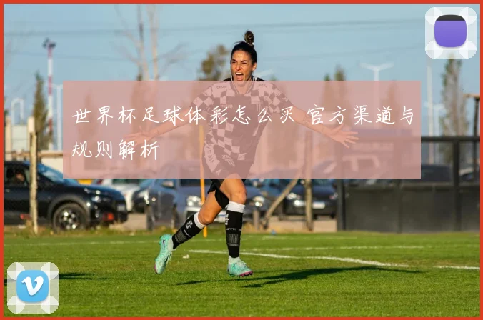 世界杯足球体彩怎么买 官方渠道与规则解析