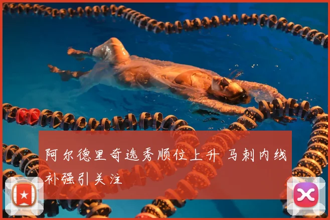 阿尔德里奇选秀顺位上升 马刺内线补强引关注