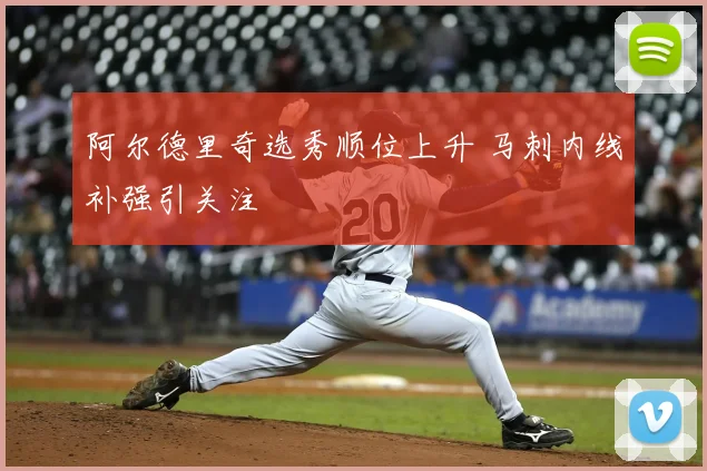 阿尔德里奇选秀顺位上升 马刺内线补强引关注